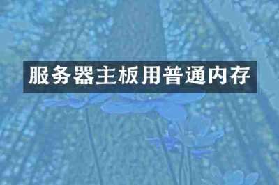 服务器主板用普通内存