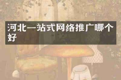 河北一站式网络推广哪个好