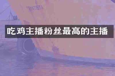 吃鸡主播粉丝最高的主播