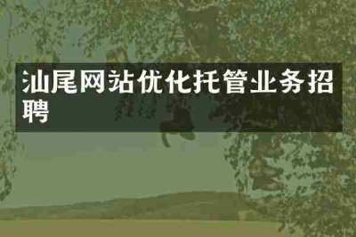 汕尾网站优化托管业务招聘