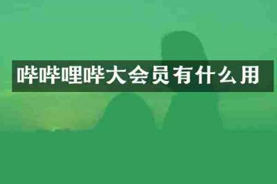 哔哔哩哔大会员有什么用
