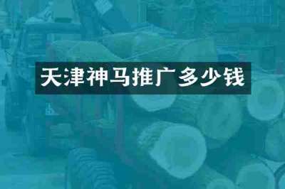 天津神马推广多少钱