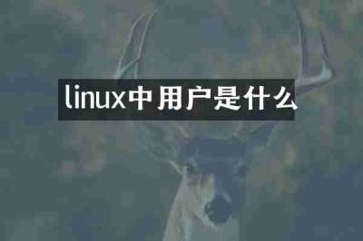 linux中用户是什么