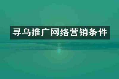寻乌推广网络营销条件