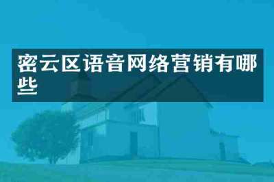 密云区语音网络营销有哪些