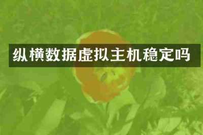 纵横数据虚拟主机稳定吗