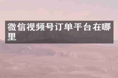 微信视频号订单平台在哪里