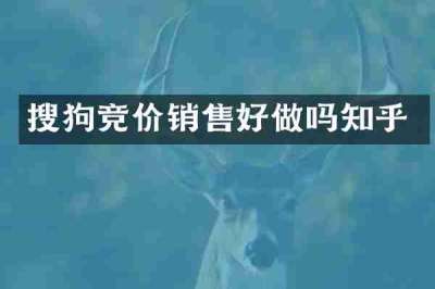 搜狗竞价销售好做吗知乎