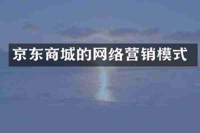 京东商城的网络营销模式