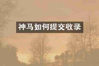 神马如何提交收录