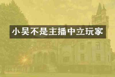 小吴不是主播中立玩家