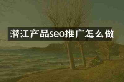 潜江产品seo推广怎么做