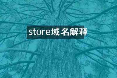 store域名解释