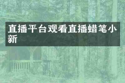 直播平台观看直播蜡笔小新