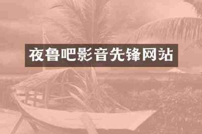 夜鲁吧影音先锋网站
