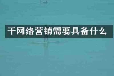 干网络营销需要具备什么