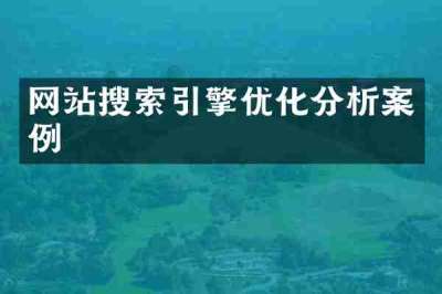 网站搜索引擎优化分析案例