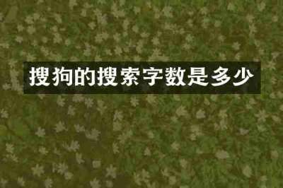 搜狗的搜索字数是多少