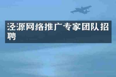 泾源网络推广专家团队招聘