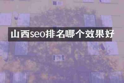 山西seo排名哪个效果好