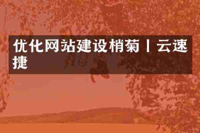 优化网站建设梢菊丨云速捷
