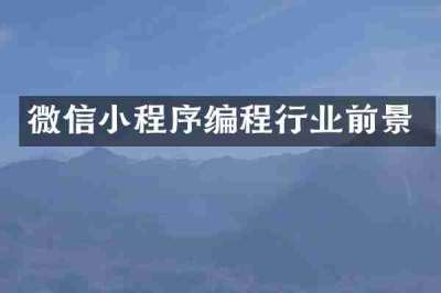微信小程序编程行业前景