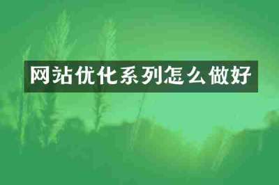 网站优化系列怎么做好