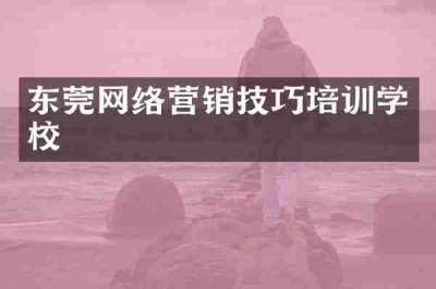 东莞网络营销技巧培训学校