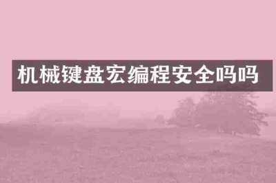 机械键盘宏编程安全吗吗