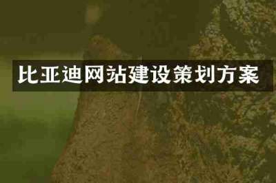 比亚迪网站建设策划方案