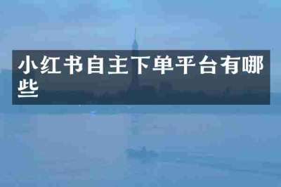 小红书自主下单平台有哪些