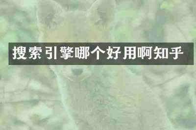 搜索引擎哪个好用啊知乎