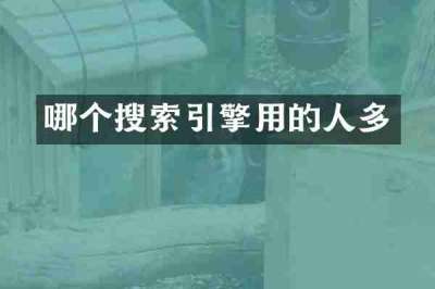 哪个搜索引擎用的人多