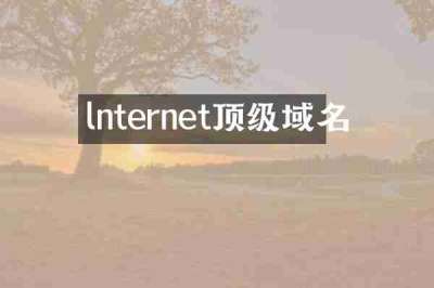 lnternet顶级域名