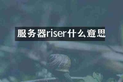 服务器riser什么意思