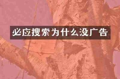 必应搜索为什么没广告