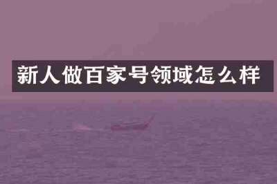 新人做百家号领域怎么样