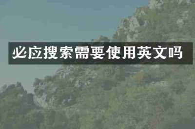 必应搜索需要使用英文吗