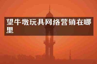 望牛墩玩具网络营销在哪里
