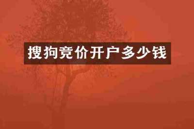 搜狗竞价开户多少钱