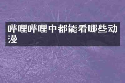 哔哩哔哩中都能看哪些动漫