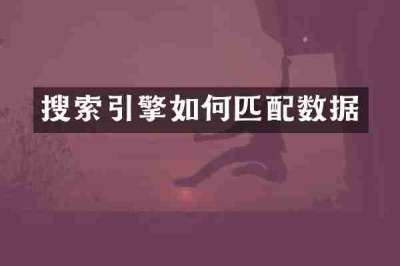 搜索引擎如何匹配数据