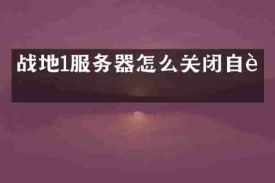 战地1服务器怎么关闭自订
