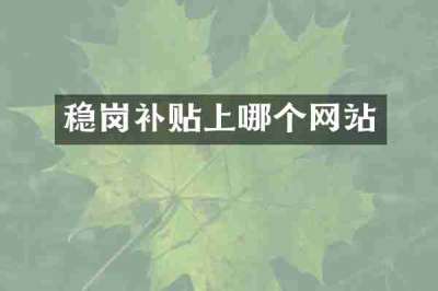 稳岗补贴上哪个网站