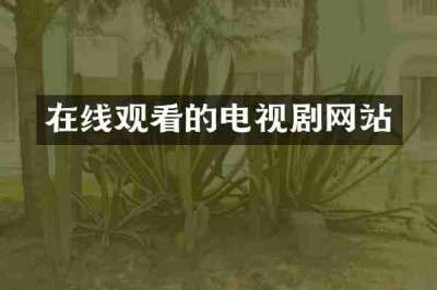 在线观看的电视剧网站