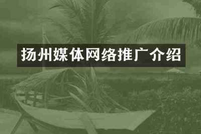 扬州媒体网络推广介绍