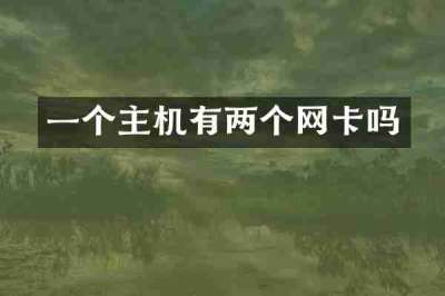 一个主机有两个网卡吗