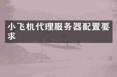 小飞机代理服务器配置要求