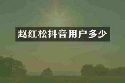 赵红松抖音用户多少