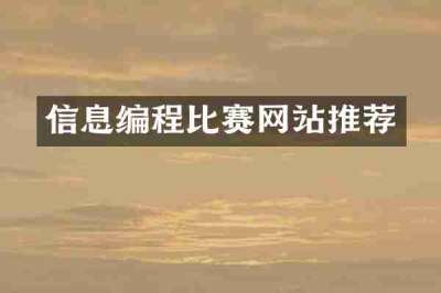 信息编程比赛网站推荐